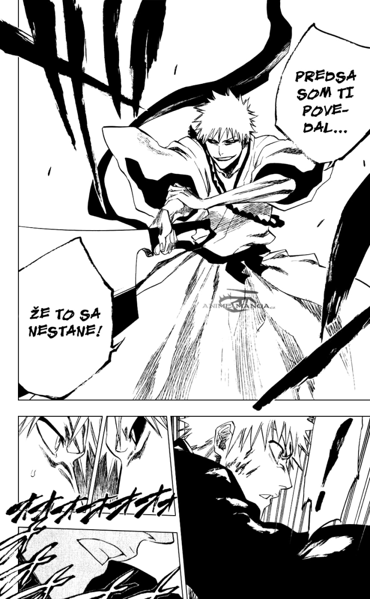 Bleach 218 20 kopie.jpg
